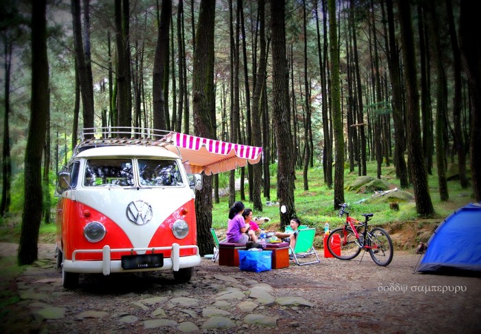 Family picnic is a quality time, accompanied by a classic VW campervan.