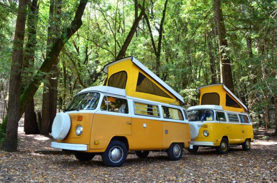 Late Bay campervans